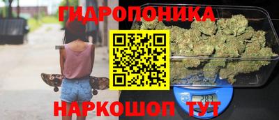соль ск Шелехов