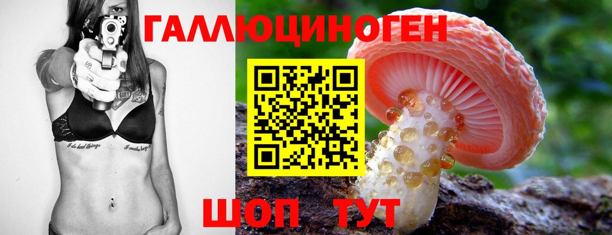 Псилоцибиновые грибы Cubensis  Галлюциногенные грибы Cubensis  хочу   Вход с VPN  Волгоград 
