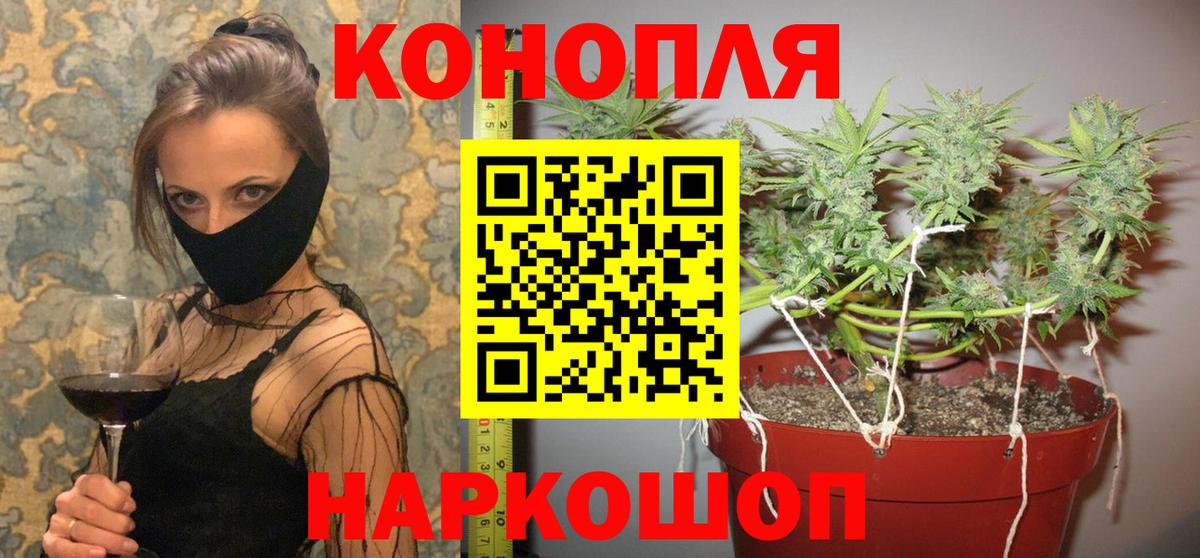Бошки марихуана марихуана  Конопля марихуана  Волгоград  Бошки Шишки Ganja  Вход с VPN 